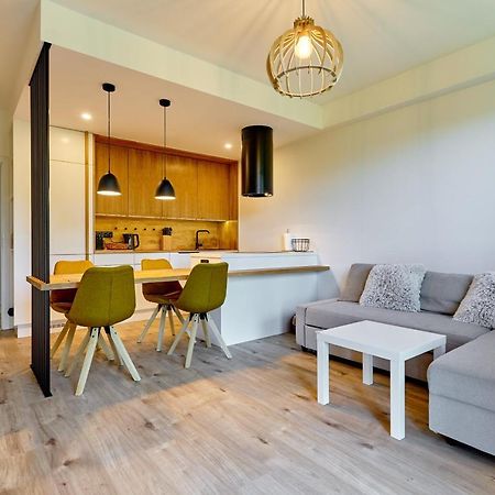 Klinovec Suite By Mountain Ways Loučná pod Klínovcem エクステリア 写真