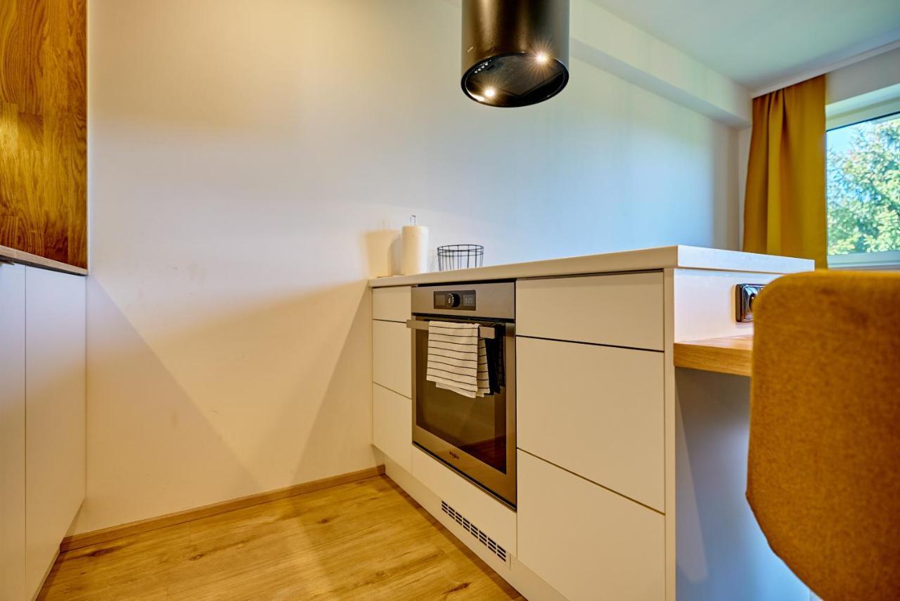 Klinovec Suite By Mountain Ways Loučná pod Klínovcem エクステリア 写真